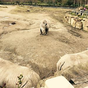 12994407_10209377316891498_8170831325747881552_n