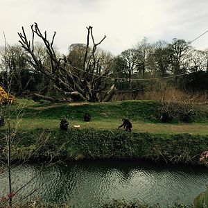 12963496_10209377316851497_8793415166265379660_n