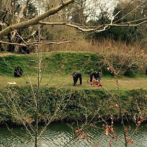 12931201_10209377314211431_7629443160788775482_n