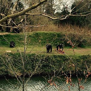 12985504_10209377316971500_1106329088140942669_n