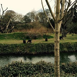 12963563_10209377317491513_8890290018337907013_n