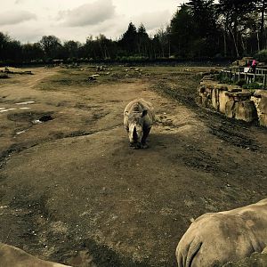 12936565_10209377316931499_4099076311684537156_n