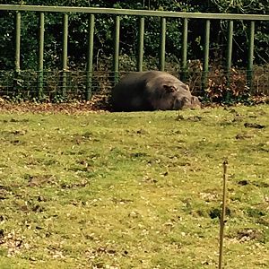 12933100_10209377317851522_5922761775258273225_n