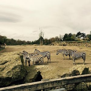 12931265_10209377317811521_3918923889413456945_n