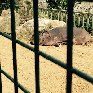 12998552_10209377317931524_4462365718855627845_n