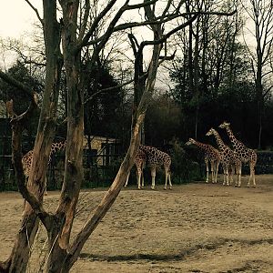 12985616_10209377318731544_5105671302568142139_n