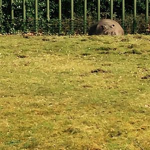 12938346_10209377317891523_8760570252888707856_n