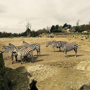 12933064_10209377317971525_8854102095642835278_n