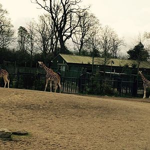 12932607_10209377318691543_8925915616605825418_n