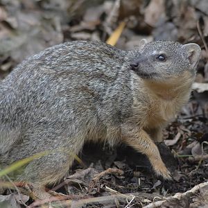 Narrow Stripe (1 Of 1)