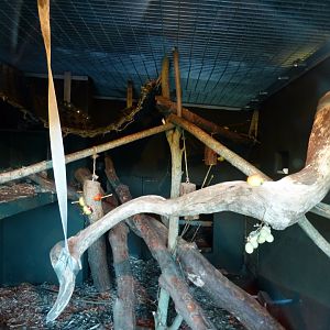 Indoor Binturong Enclosure