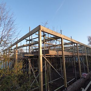 New Aviarys by the Chimps