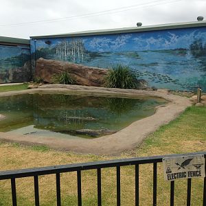 Alligator enclosure