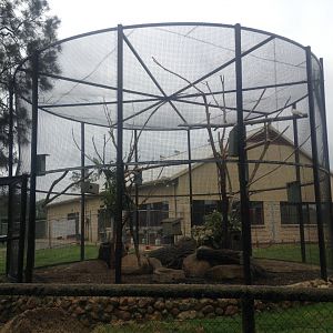 Aviary for small parrots
