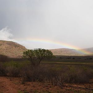 Mkomazi National Park