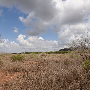Mkomazi National Park