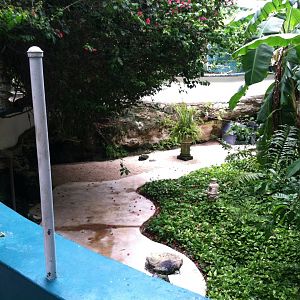 Xoloitzcuintli Exhibit