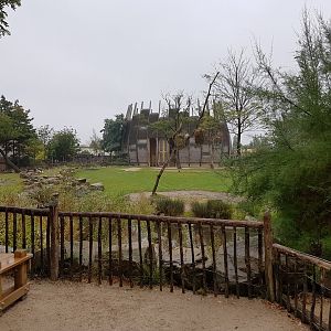 African Plain with Giraffe-house