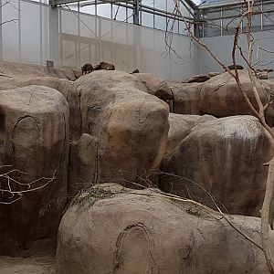 Hyrax-enclosure