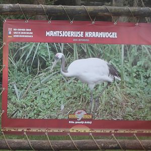 Sign Red-crowned crane