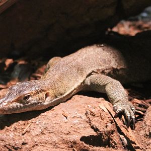 Mertens Water Monitor
