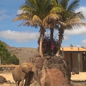 WP_20160225_14_56_01_Pro