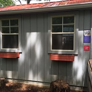 Pot-Bellied Pig House