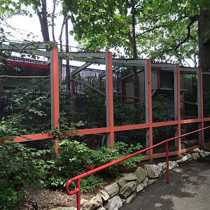 Great Horned Owl Exhibit