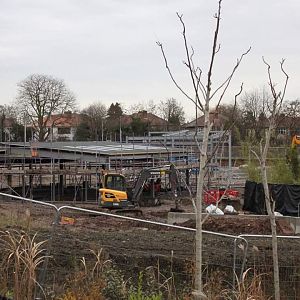 Latest Islands development