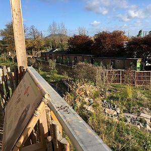 Gibbon Forest 051116