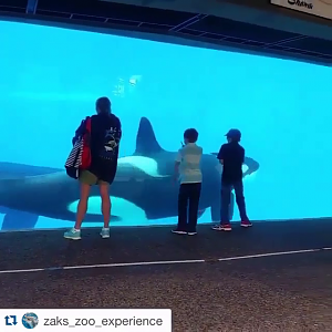 Jun. 2015 - Short of Video of Shouka and Nakai