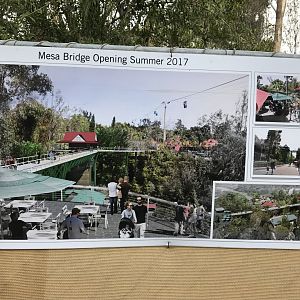 Mesa Bridge Concept 1