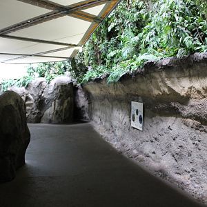 Walk-way Burger's Ocean