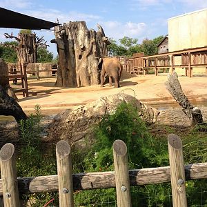 Grasslands Africa- Stokely African Elephant Preserve