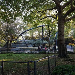 New Jaguar enclosure under contruction