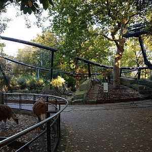 New Jaguar enclosure under construction