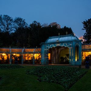 Waddesdon Manor Aviary : Waddesdon : 19 Nov 2016