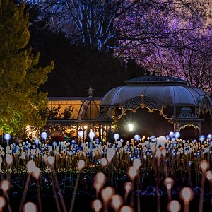 Waddesdon Manor Aviary : Waddesdon : 19 Nov 2016