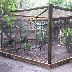 Bird Aviary