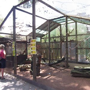 Cagebird Aviary