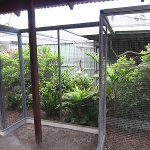 Finch and Softbill Aviaries
