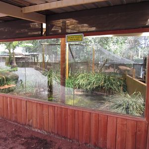Freshwater Croc Exhibit