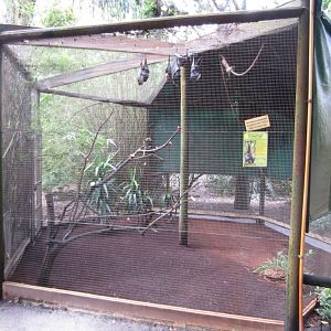 Fruit Bat Aviaries