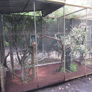 Glider cage