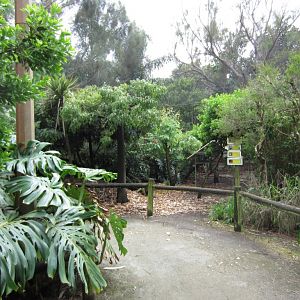 Interior of Small walkthrough aviary