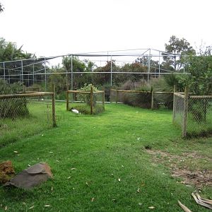 Large Walkthrough aviary exterior