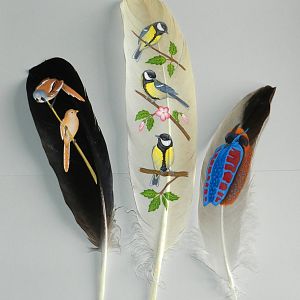Painted feathers