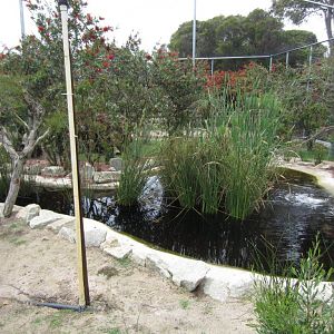 Interior of Large Walkthrough Aviary