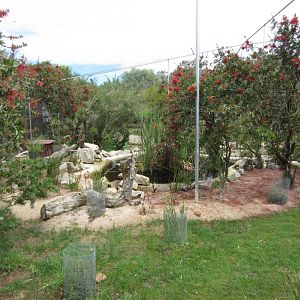 Interior of Large Walkthrough Aviary