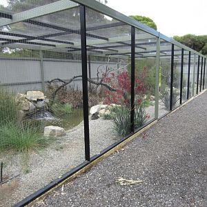 Long Aviary